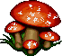 mushroom.gif