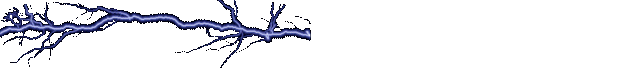Storm-07.gif
