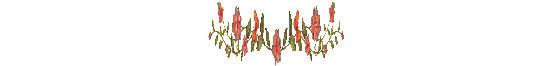 flowerbar.gif