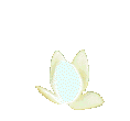 plantblanca.gif