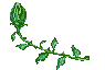 flowerdpleftanim.gif