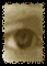 seenweb.gif