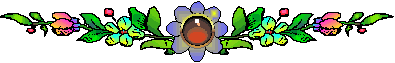 anifaeflowerlinebloom.gif
