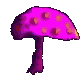 mushroom.gif