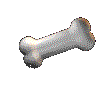 bone.gif