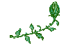 flowerdprightanim.gif