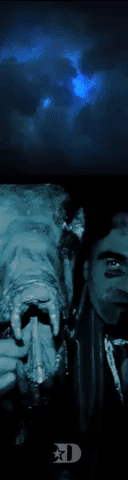 Animated GIF-downsized_large (1).gif