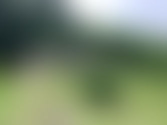 常陸大宮市小舟のI様の空き家の草刈りをしました