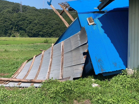 常陸大宮市にて物置の解体、撤去をしました