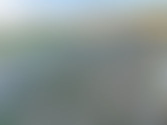 常陸大宮市のK様宅の庭の草刈りをしました