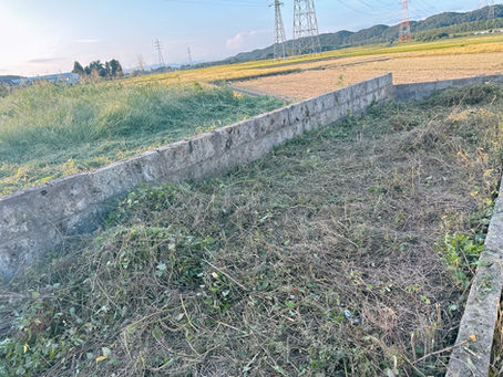 常陸大宮市のK様宅の庭の草刈りをしました