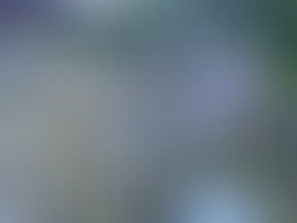 常陸大宮市のI様宅の草刈りをしました