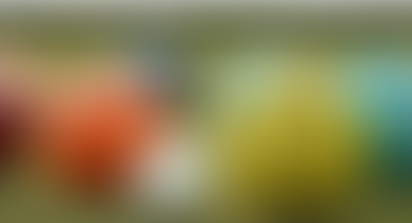 Bowls Club - May 2026