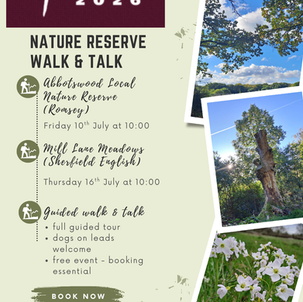 Walk & Talk 16-07-26, Mill Lane Meadows 