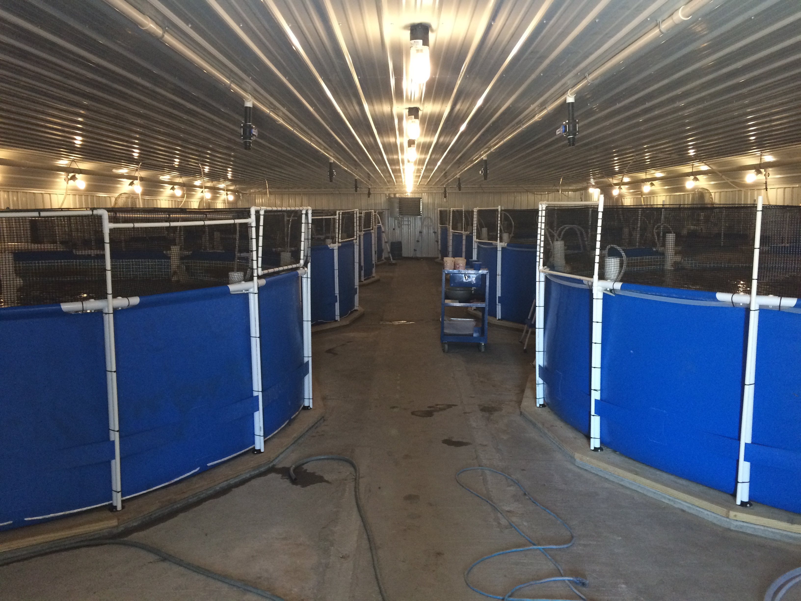 Pools Are Up!