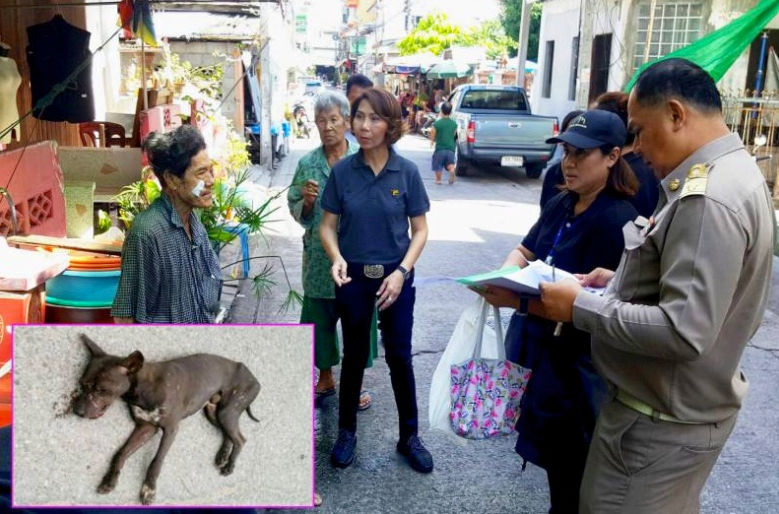 Rabid dog inset and officials talking to witnesses