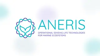 Nueva generación de herramientas para el monitoreo de la vida marina: Dribba se une a ANERIS (EU)