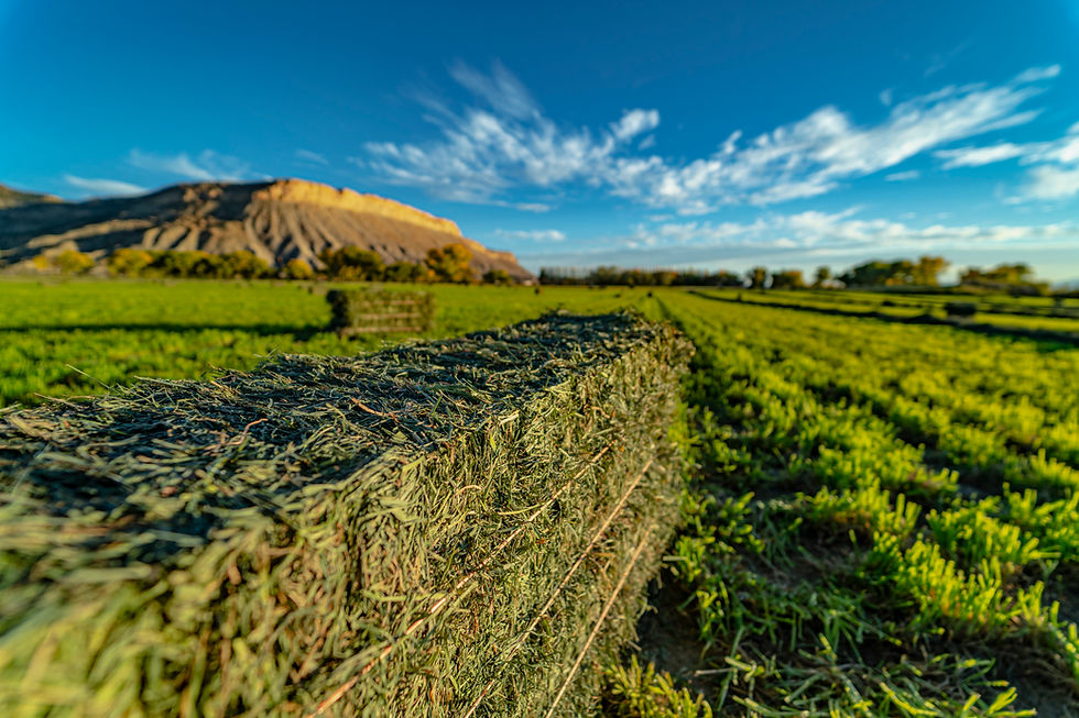 Photo Gallery Decker Hay Farms LLC