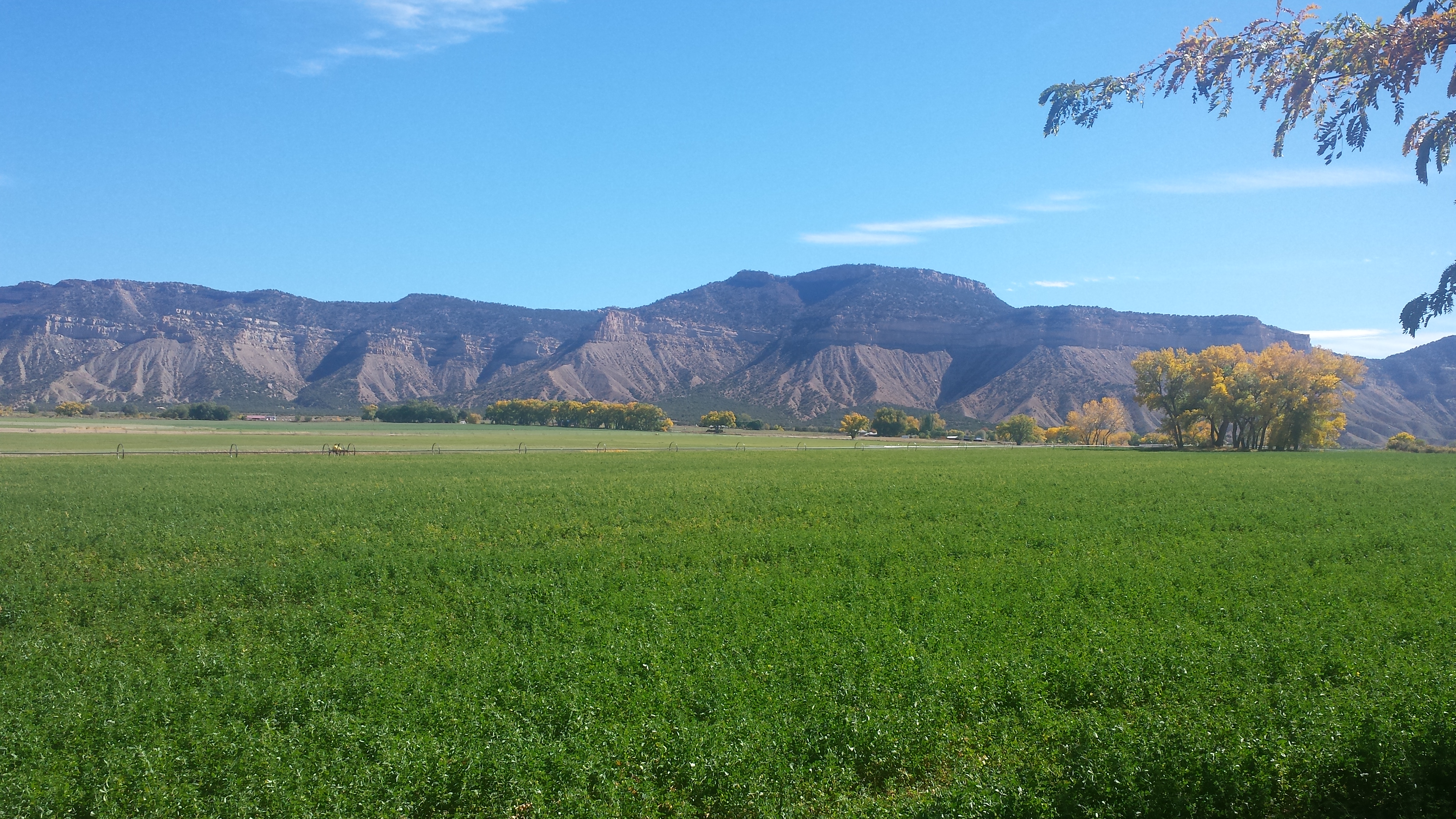 Home Decker Hay Farms LLC