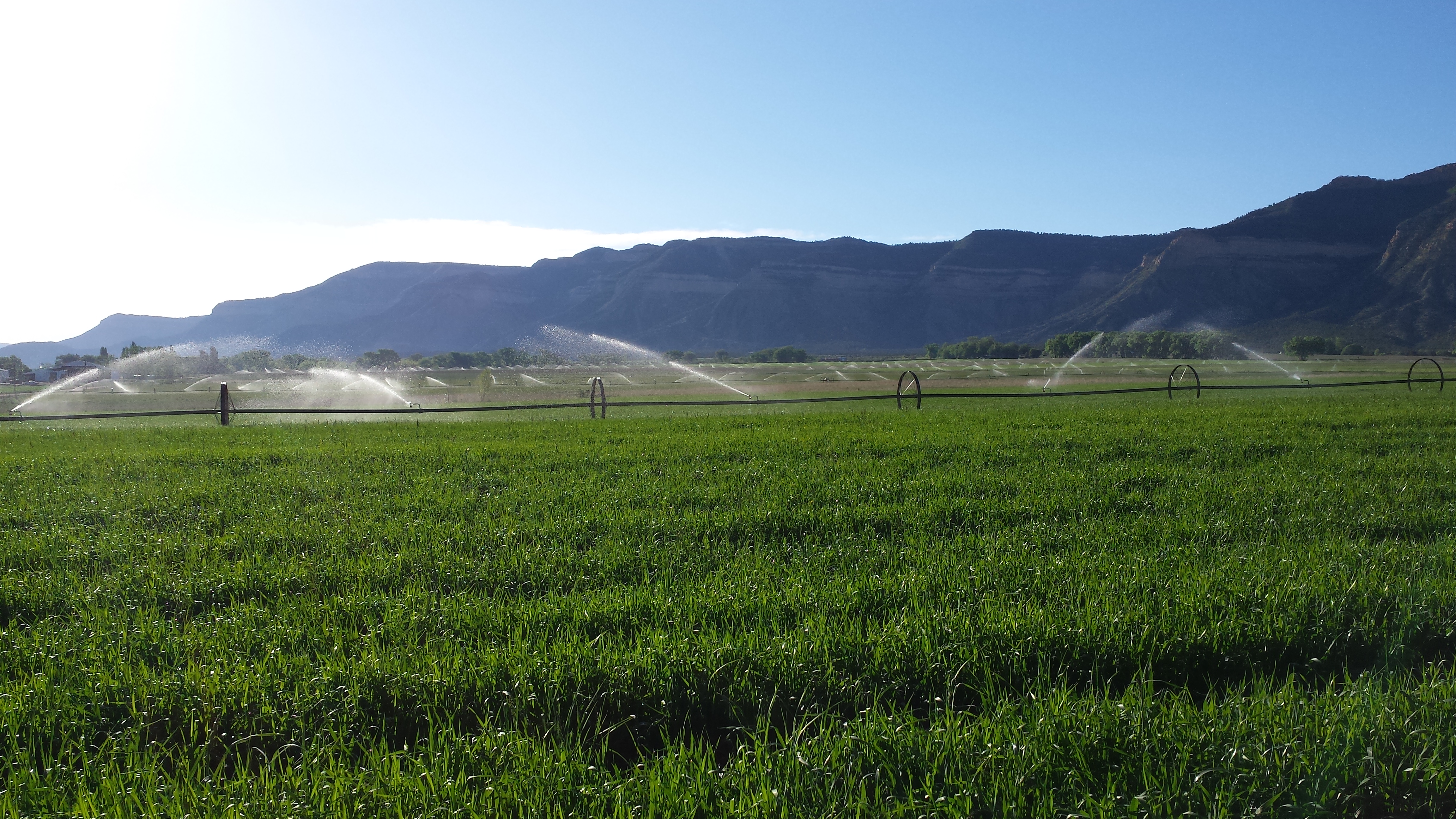 Home Decker Hay Farms LLC