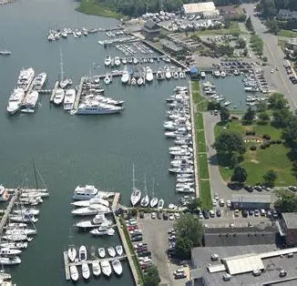 Sag Harbor Marina Life