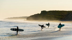 Surf Culture at Ditch Plains