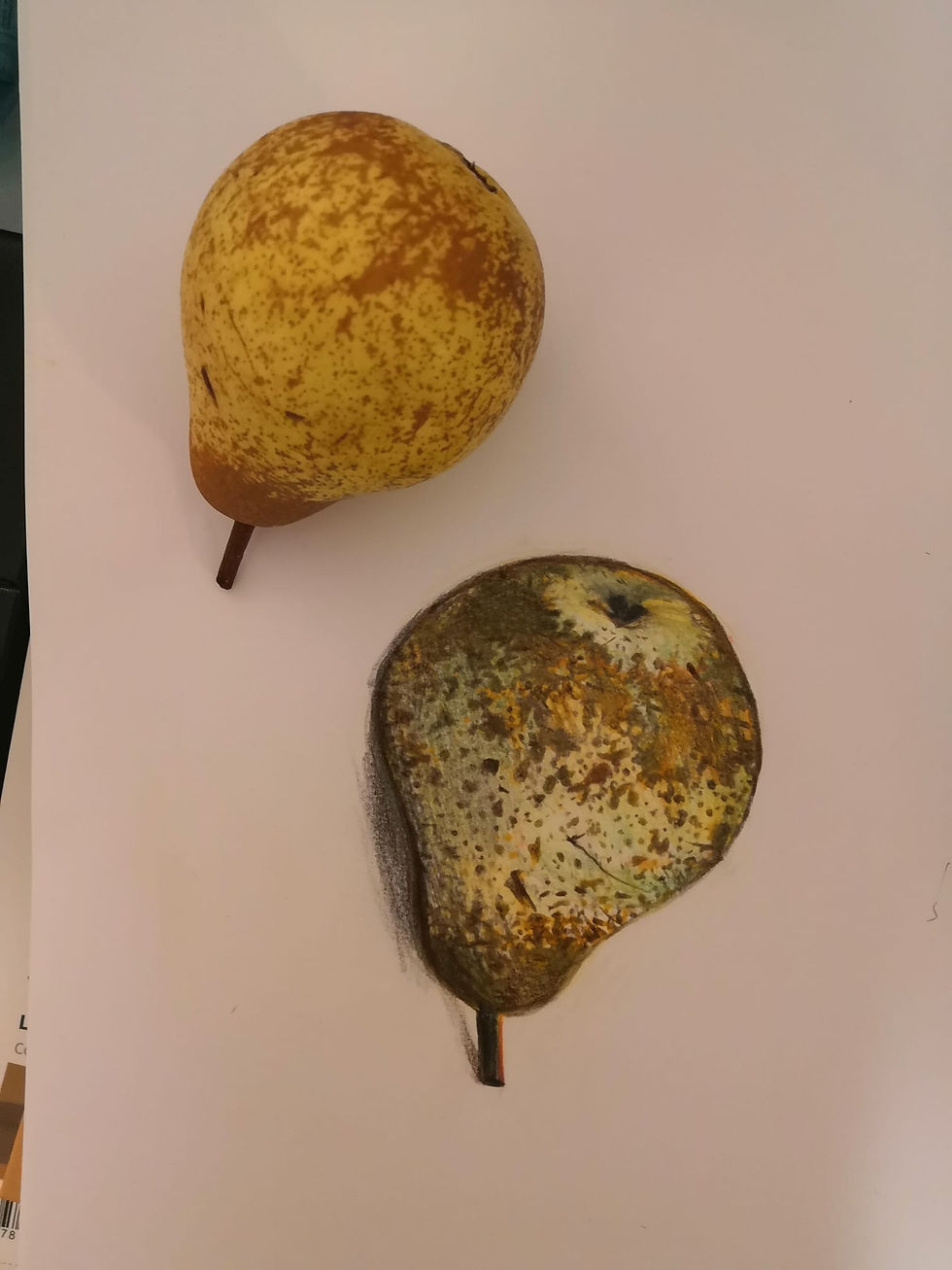 Final drawing of real life pear.
