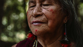 pexels-billsalazar-18478595.jpg