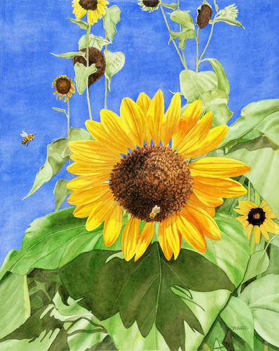 Sunflower with Bees Giclée Art Print | michaeldanielsart