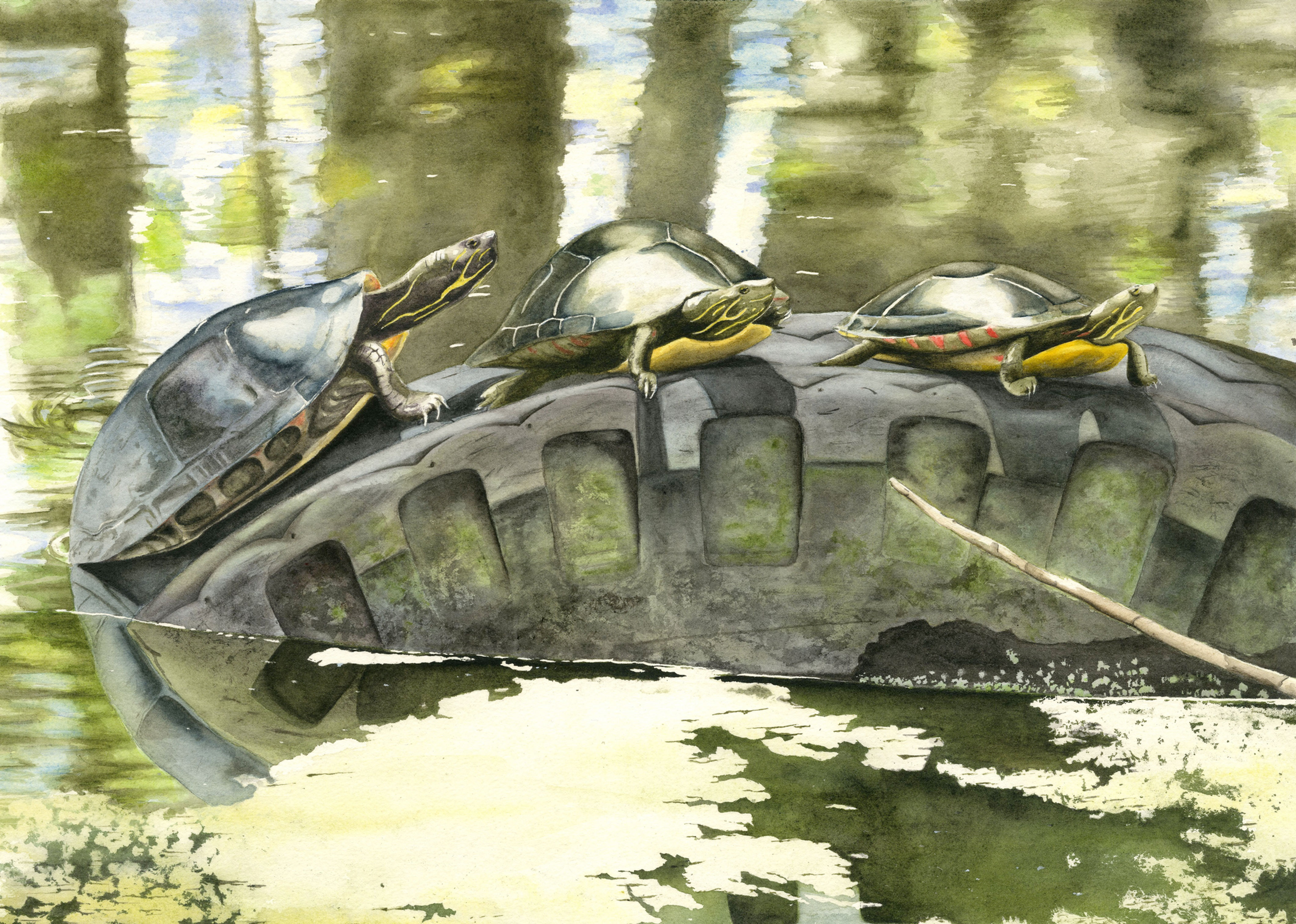 Adjusting to Their Environment Giclée Art Print