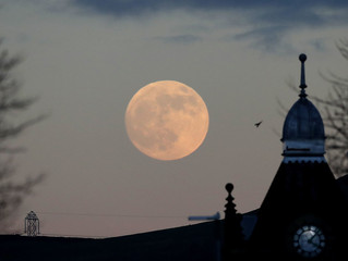 Super Blood Wolf Moon - Lunar Eclipse