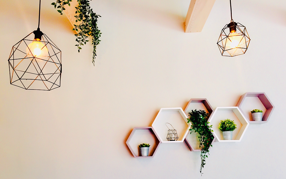 Hexagonal wall shelves and hanging lights