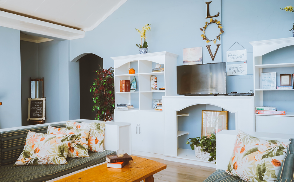 White living room cabinets on a blue wall