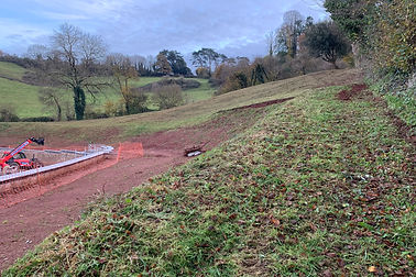 Steep slope cleared of Brambles by flail