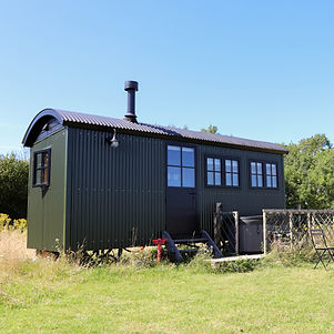 Milberry Green Meadows 2024 (28).jpg