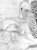 plate 64Vultures and Crystals Oriental W