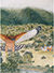 50Leslie Shao-ming Sun Field Station.jpg