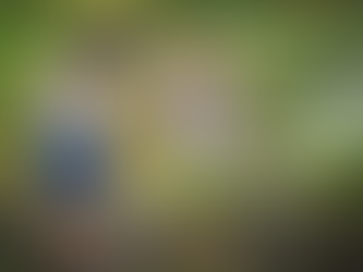 One Cleaner for Whites and Colours? Yes — Here’s How It Works