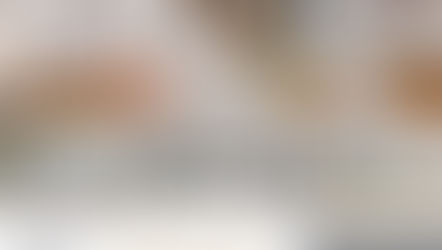 #FridayFavorites 12.7.18