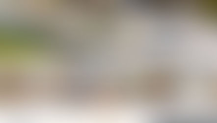 #FridayFavorites 12.21.18