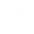 marketing strategy bizual