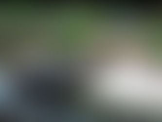 Hardscaping Ideas to Enhance Your Asheville Yard