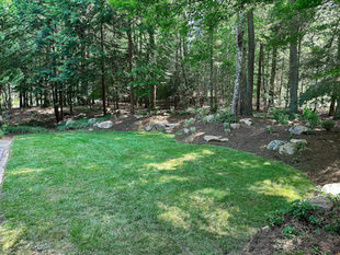 How to Design a Low-Maintenance Landscape in Asheville