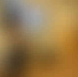 Daycare AGM presentation