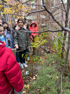 kids exploring outside