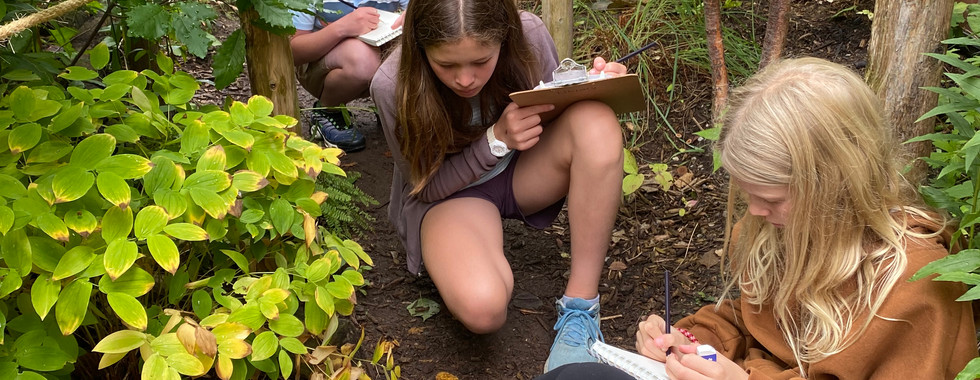 young children exploring nature in the JICS courtyard