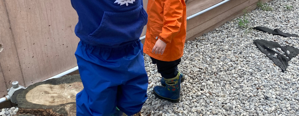 young children exploring nature in the JICS courtyard