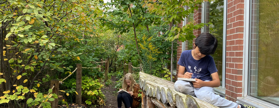 young children exploring nature in the JICS courtyard