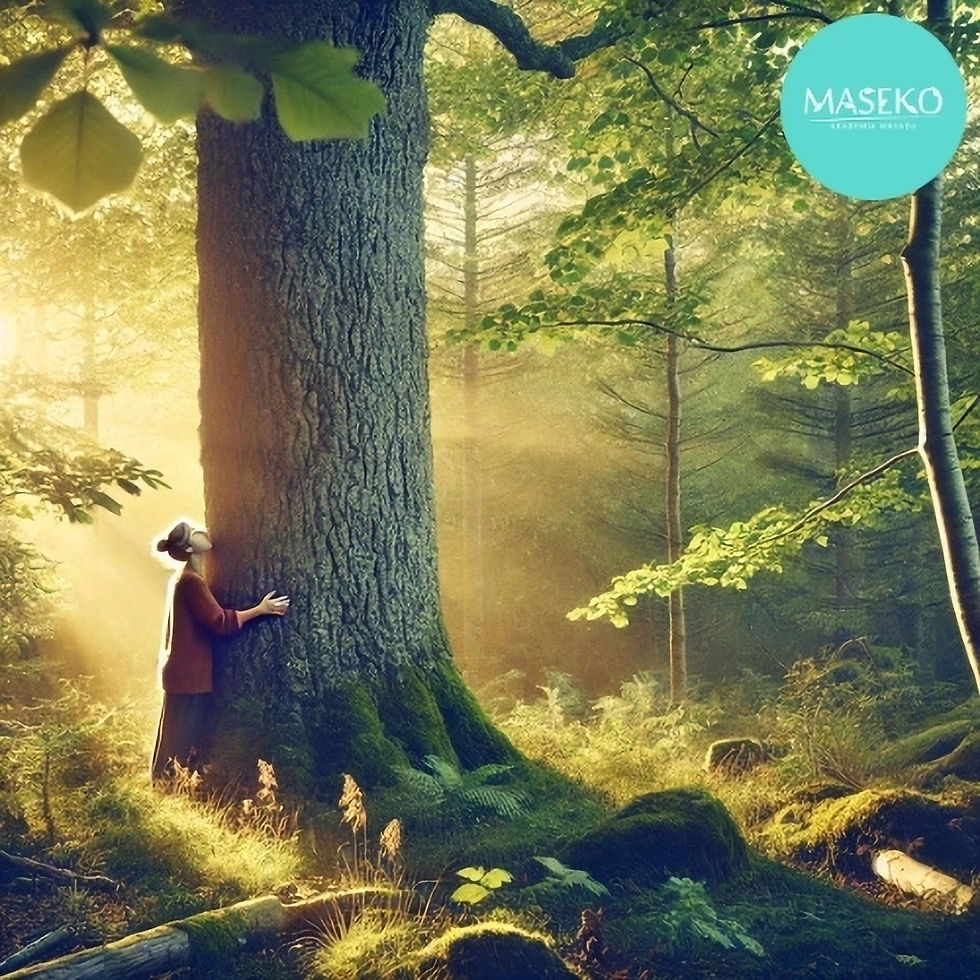 Dendroterapia Akademia Masażu Maseko