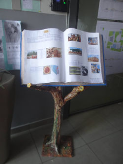 Jornadas Cientificas